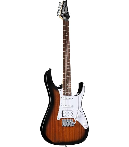 Ibanez Maple Wood, Mahogany Wood Electric Guitar RGA Series